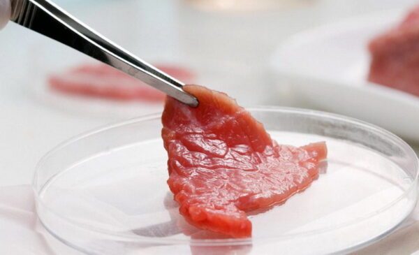 Искусственное мясо, производство, преимущества