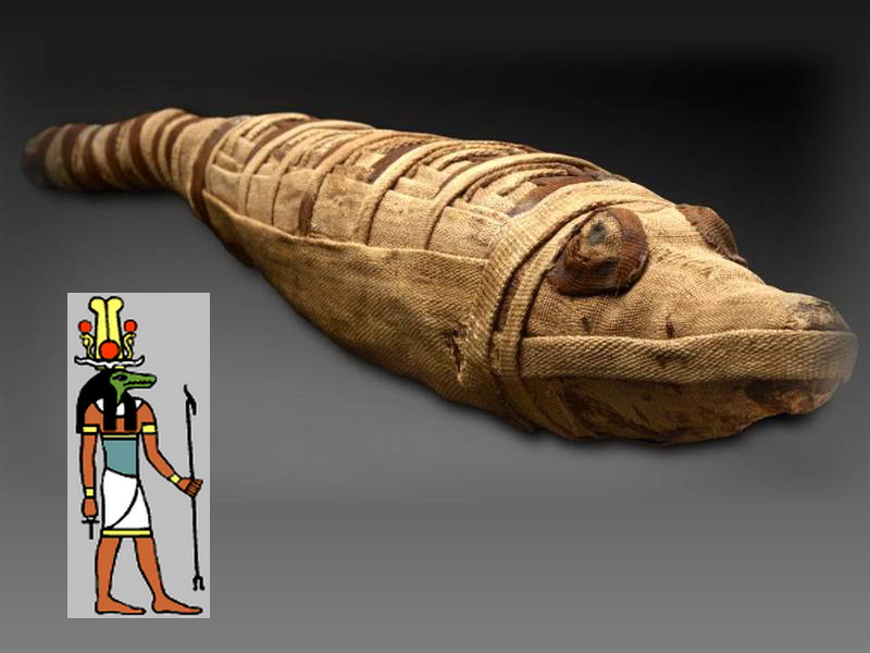 Почему мумии животных были неотъемлемой частью Древнего Египта