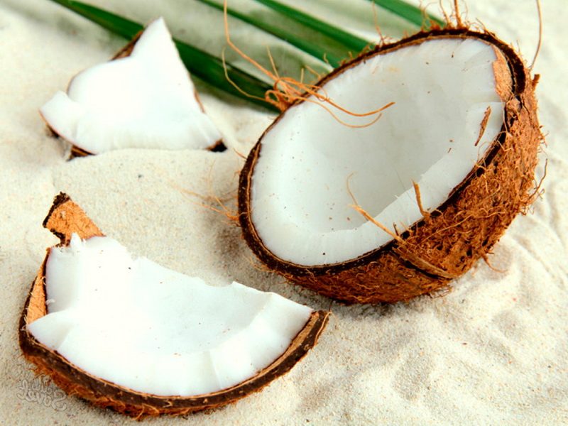 Польза кокосовой воды для здоровья