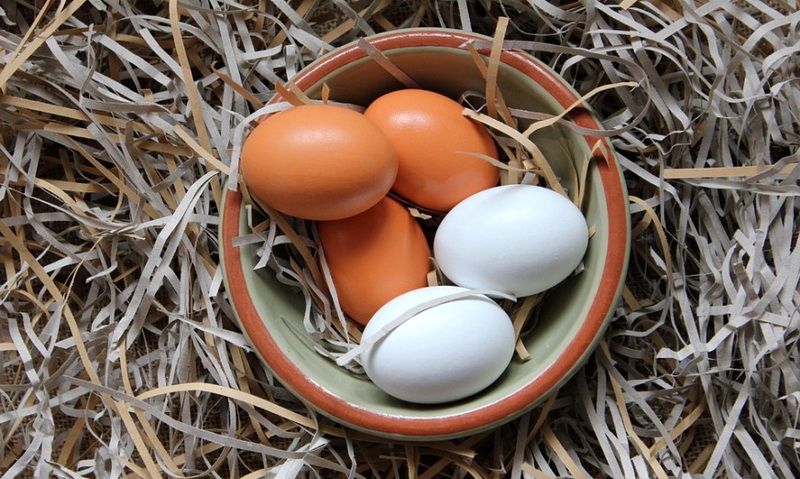 Как повысить яйценоскость кур – простые советы