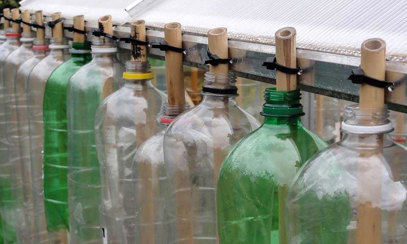 Теплица из пластиковых бутылок — легко и просто