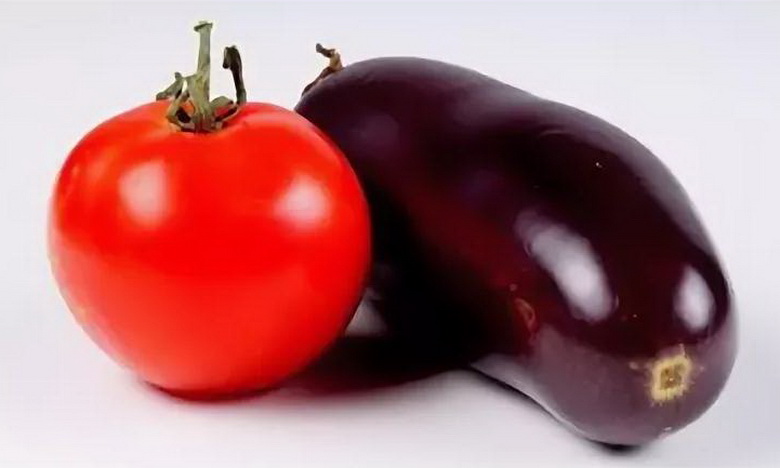 5 советов для получения стабильного урожая томатов и баклажанов