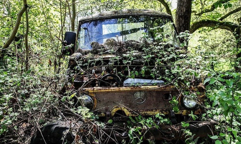 10 заброшенных джипов, найденных в джунглях