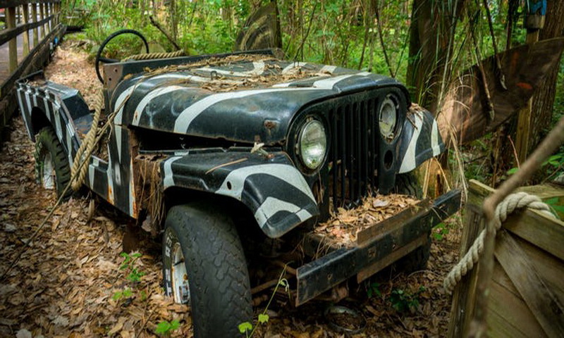 10 заброшенных джипов, найденных в джунглях