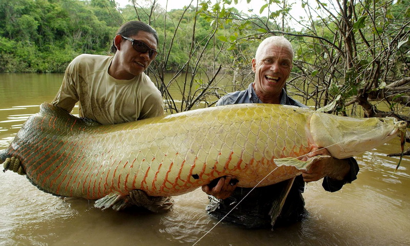 15 реальных существ, пойманных в реках по всему миру