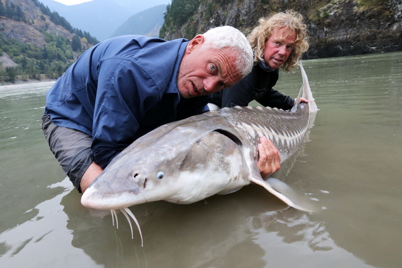 15 реальных существ, пойманных в реках по всему миру