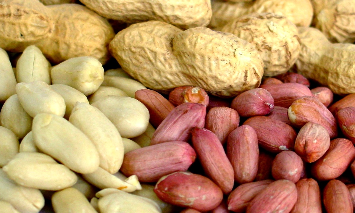 Польза арахиса для здоровья человека