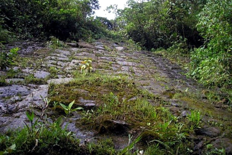 Ученые обнаружили затерянный город гигантов La Mana в джунглях Эквадора