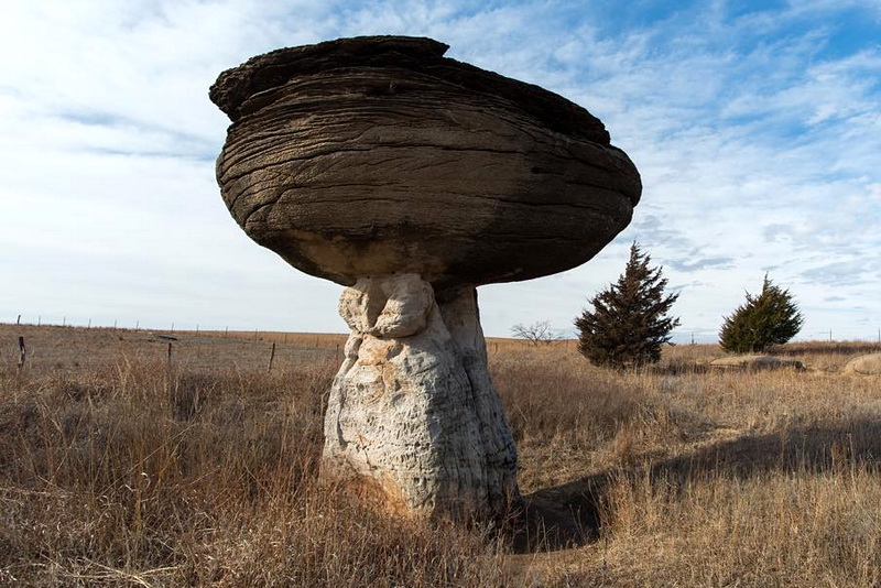 Каменные грибы, созданные природой по всему миру