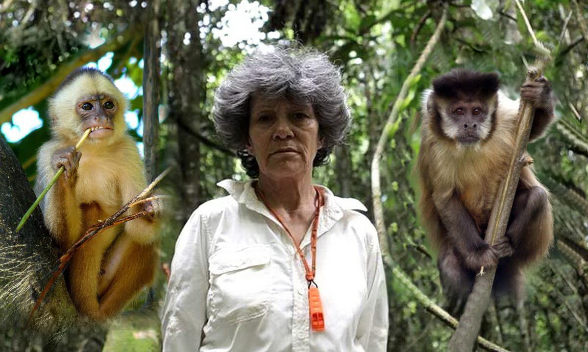 Марина Чапман — девочка, воспитанная обезьянами