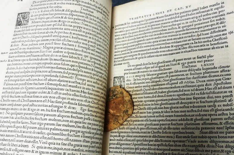 Шоколадное печенье, найденное в средневековой рукописи