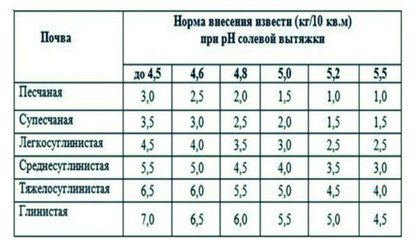 Как узнать кислотность почвы на участке самому по сорнякам фото