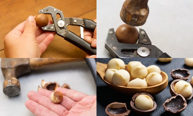Как открыть орех макадамия