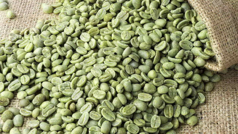 Полезен ли зеленый кофе — за и против