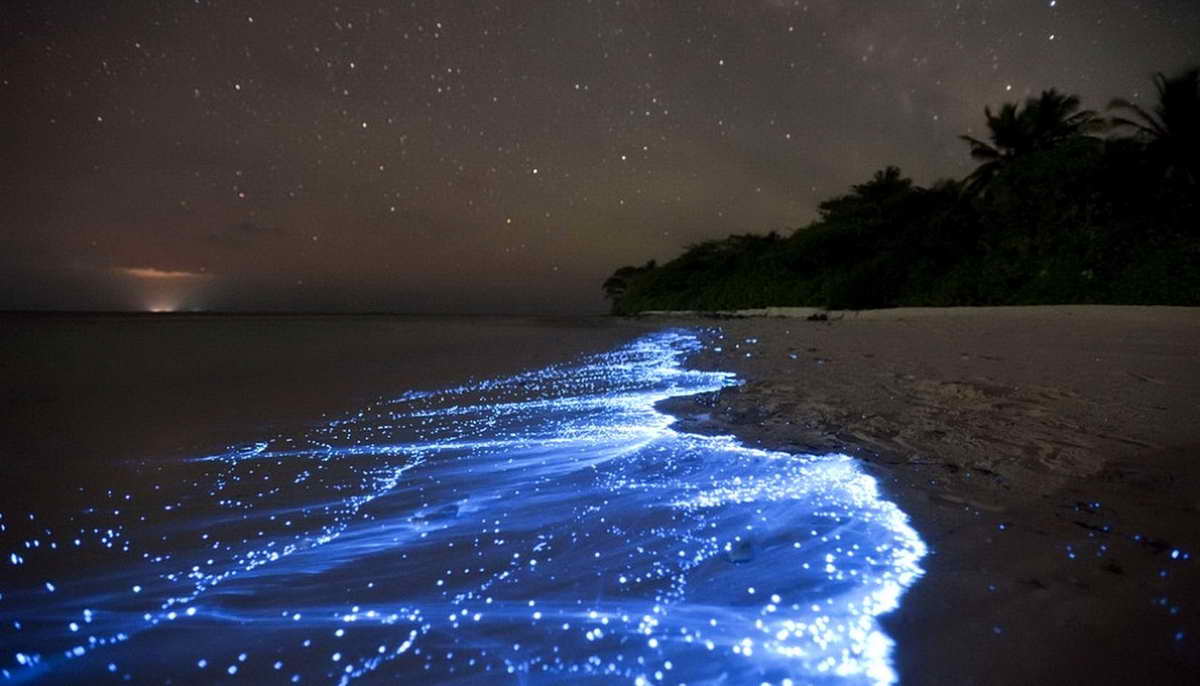 Светящийся пляж или Звездное море на Мальдивах