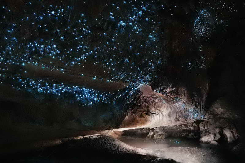 Пещеры Светлячков Новая Зеландия