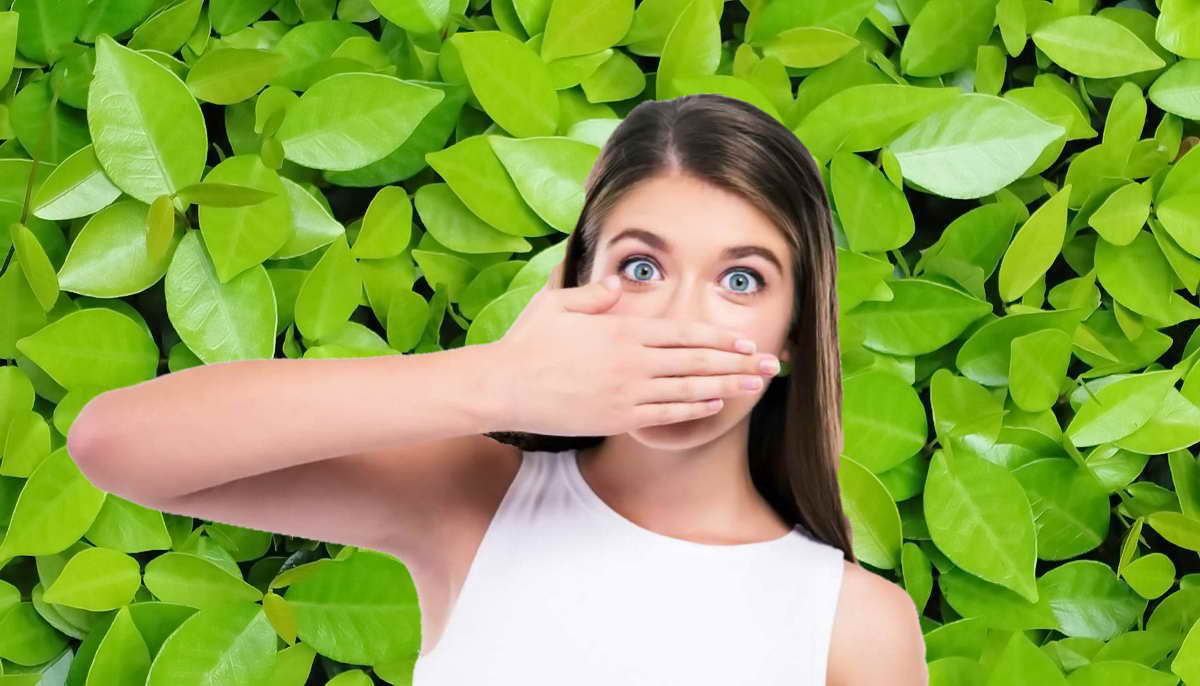 Как убрать неприятный запах изо рта: причины и решения