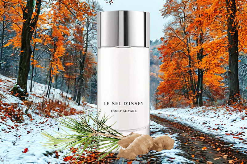 Туалетная вода Issey Miyake Le Sel D'Issey