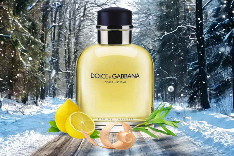 Туалетная вода Dolce & Gabbana Pour Homme