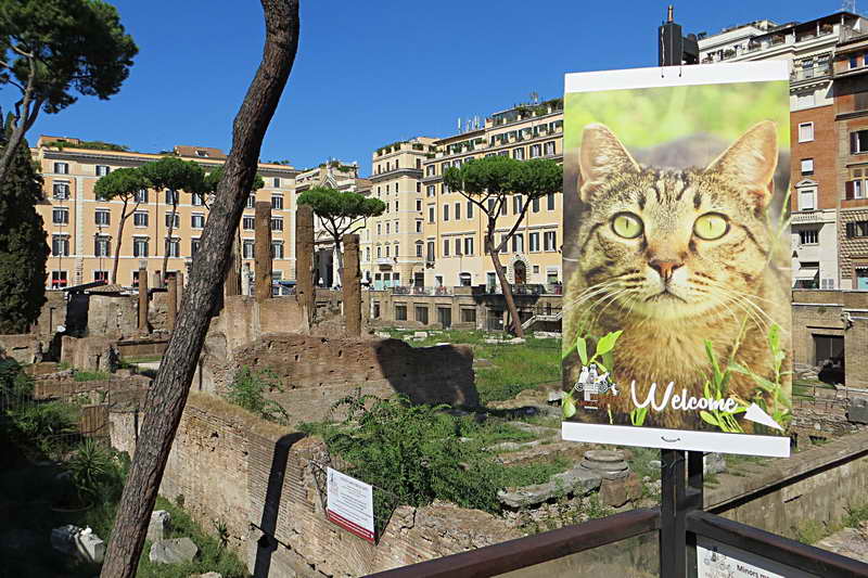 Площадь Серебряной Башни Largo di Torre Argentina